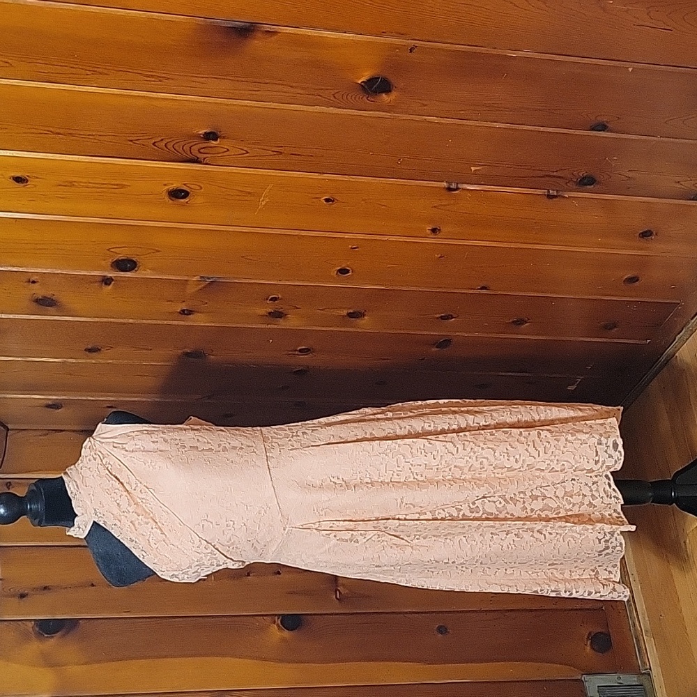 NWT Reiss Asymmetric Lace Dress